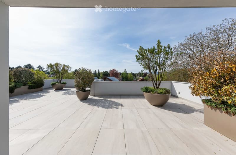 Outdoor area with wooden flooring and several large planters with plants.
