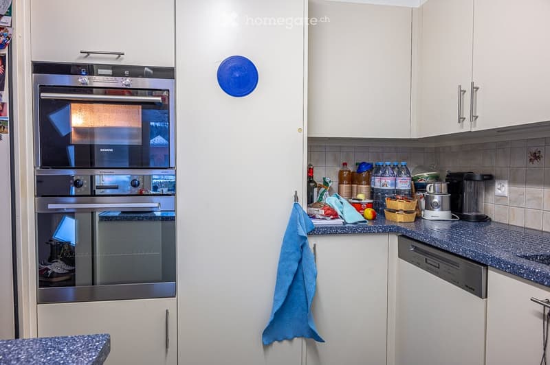 Modern kitchen with white cabinets, blue countertops, Siemens oven, dishwasher, and various kitchen items on the counter.