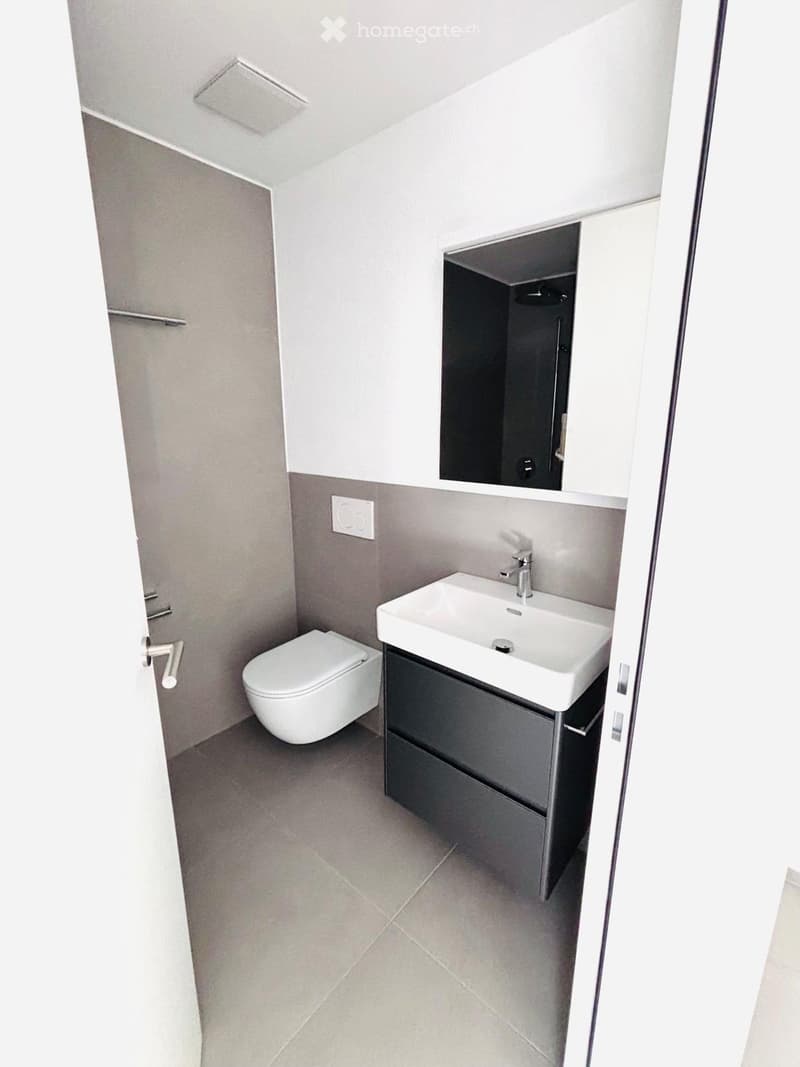 Modern bathroom with a white toilet, a white sink with a chrome faucet, a dark grey cabinet, and a large mirror above the sink.
