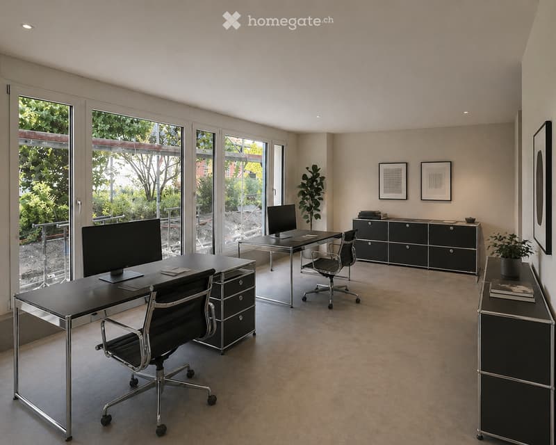 Modern office with two desks, computer monitors, office chairs, cabinets, and plants.
