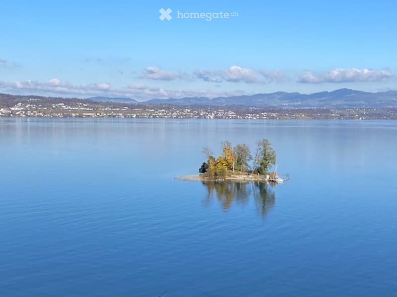 A small island in the middle of a lake with a few trees and a boat docked on the shore.