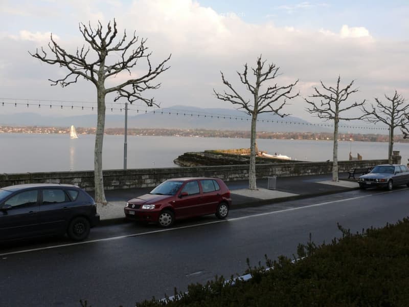 Three cars parked on the roadside, trees, lake, mountains in the distance