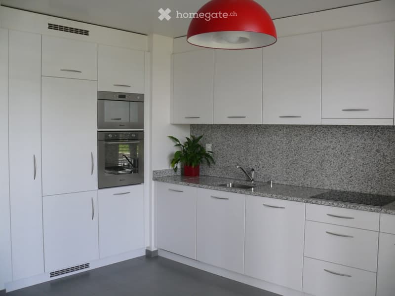 modern kitchen with white cabinets, granite countertops, stainless steel appliances, and a red pendant light