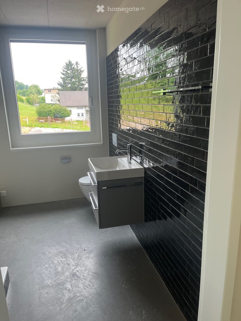 Büro in Eggenwil (6)