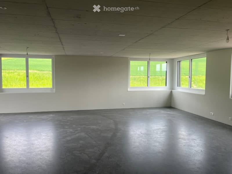 Büro in Eggenwil (3)