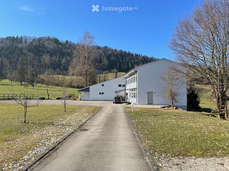 Atelier / Hobbyraum im Grünen (3)
