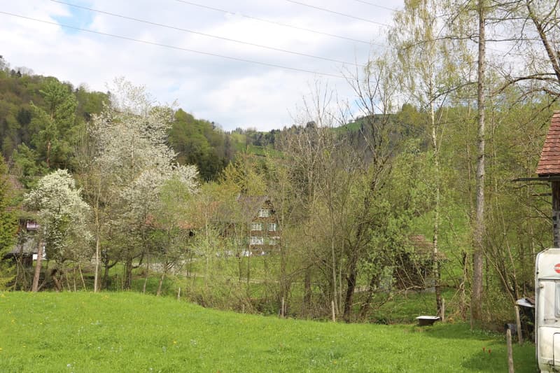 Neubau-Bauernhaus mit Minergie-Standard in idyllischer Lage (3)