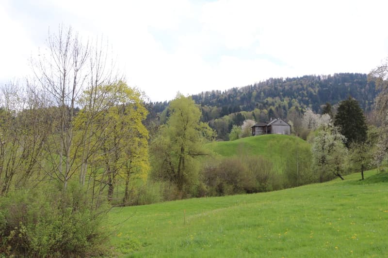Neubau-Bauernhaus mit Minergie-Standard in idyllischer Lage (4)