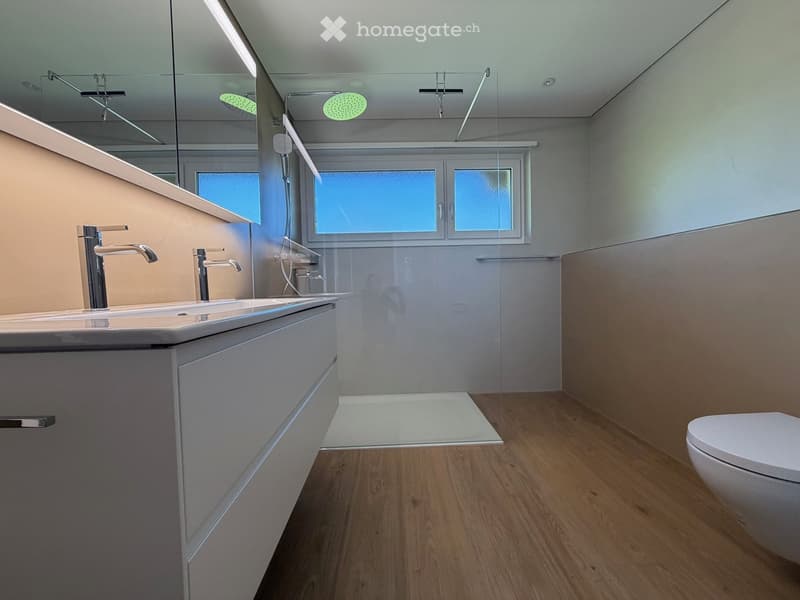 Grosszügige 6.5-Zimmer-Dachwohnung mit Balkon und schöner Aussicht in Tagelswangen (9)