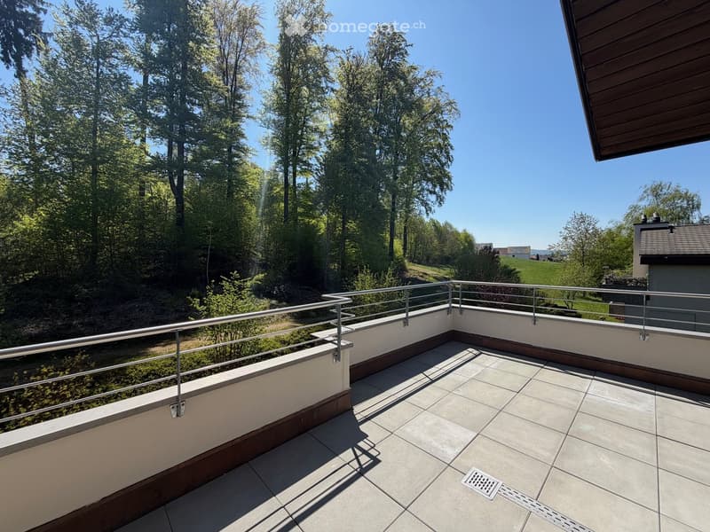 Grosszügige 6.5-Zimmer-Dachwohnung mit Balkon und schöner Aussicht in Tagelswangen (3)