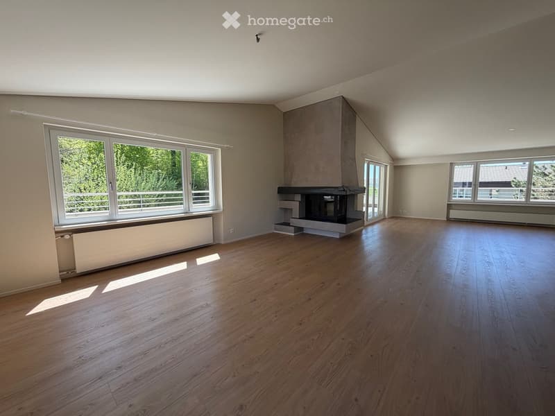 Grosszügige 6.5-Zimmer-Dachwohnung mit Balkon und schöner Aussicht in Tagelswangen (1)