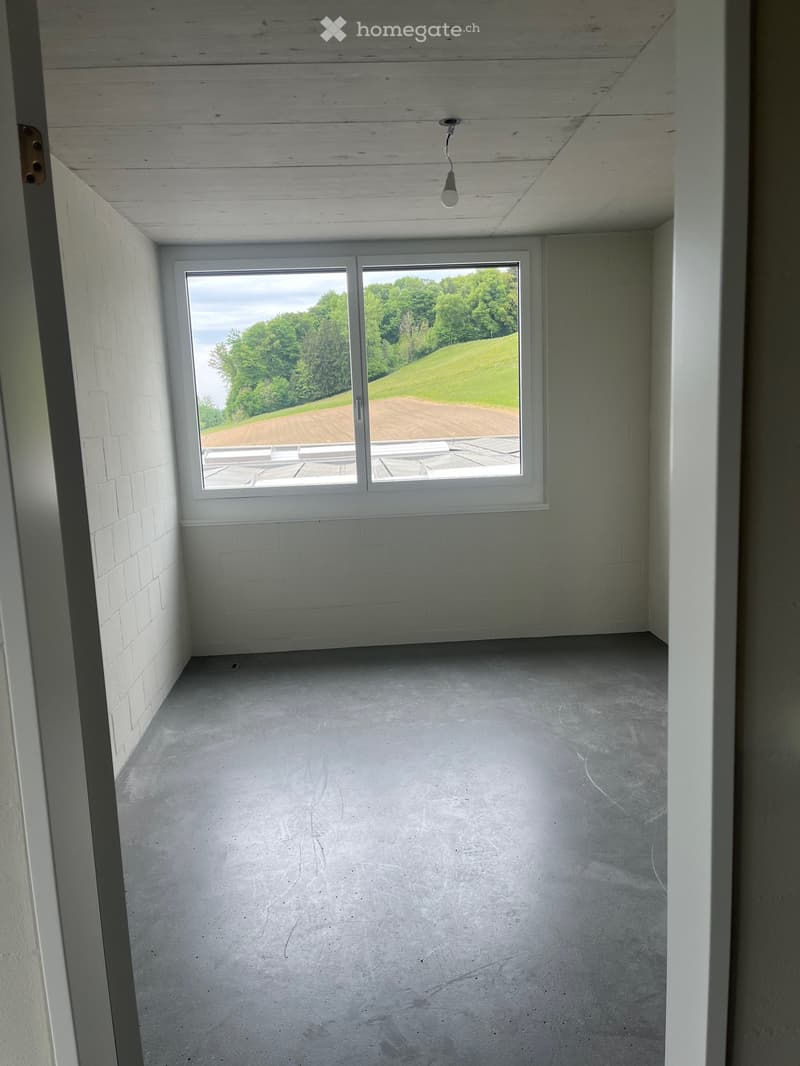 Attikawohnung in Eggenwil (9)