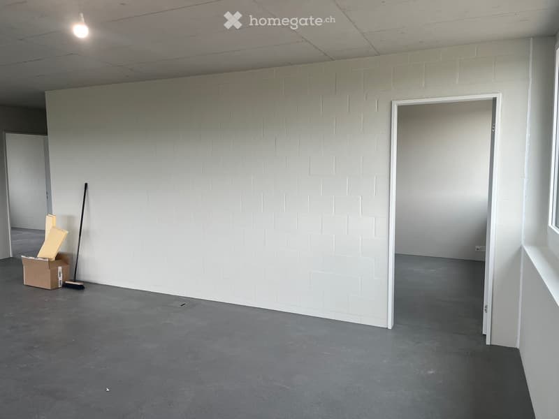 Attikawohnung in Eggenwil (12)