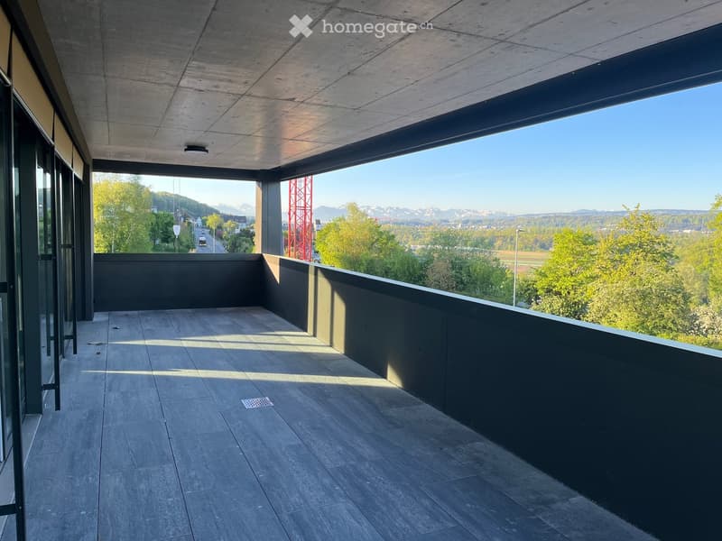 Attikawohnung in Eggenwil (3)