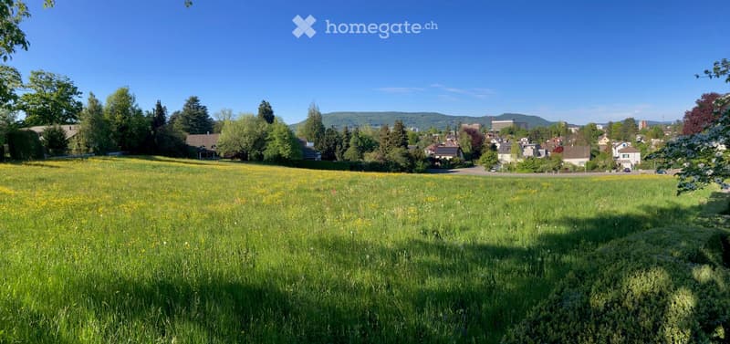 large green field, trees, houses in the background, mountains