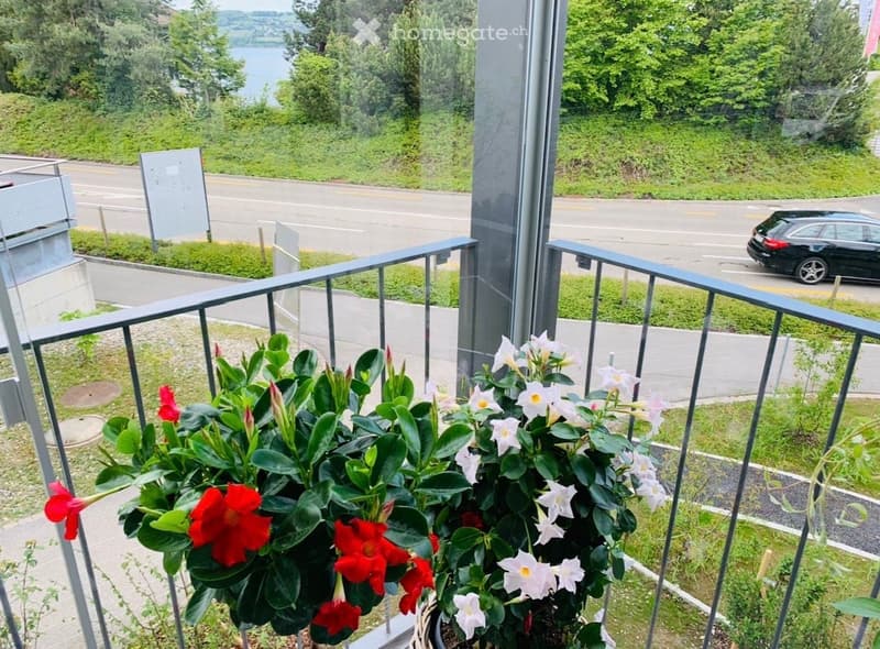 Balcony / Terrace. Balcony with metal railing, red and white flowers, view of a road, lake, and trees.