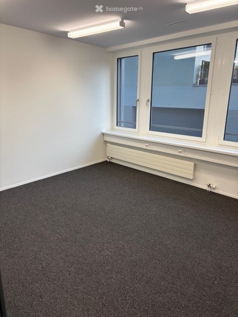 Büro in Malters (5)