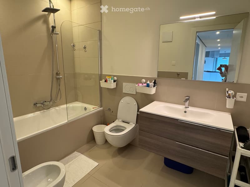 Modern 4.5-Room Apartment in Montagnola (13)