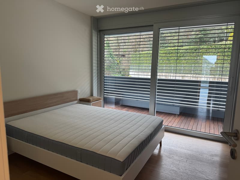 Modern 4.5-Room Apartment in Montagnola (3)
