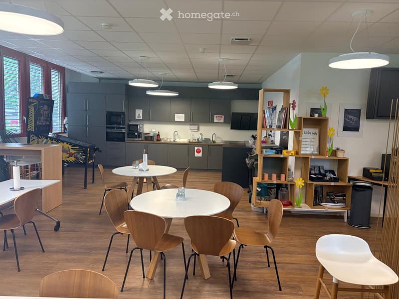 Bureaux et ateliers à Grand-Lancy (6)