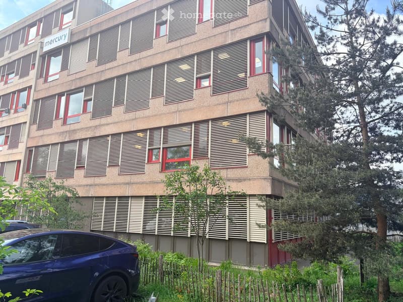 Bureaux et ateliers à Grand-Lancy (8)
