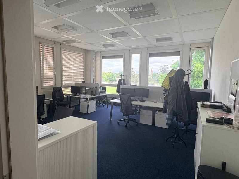 Bureaux et ateliers à Grand-Lancy (3)