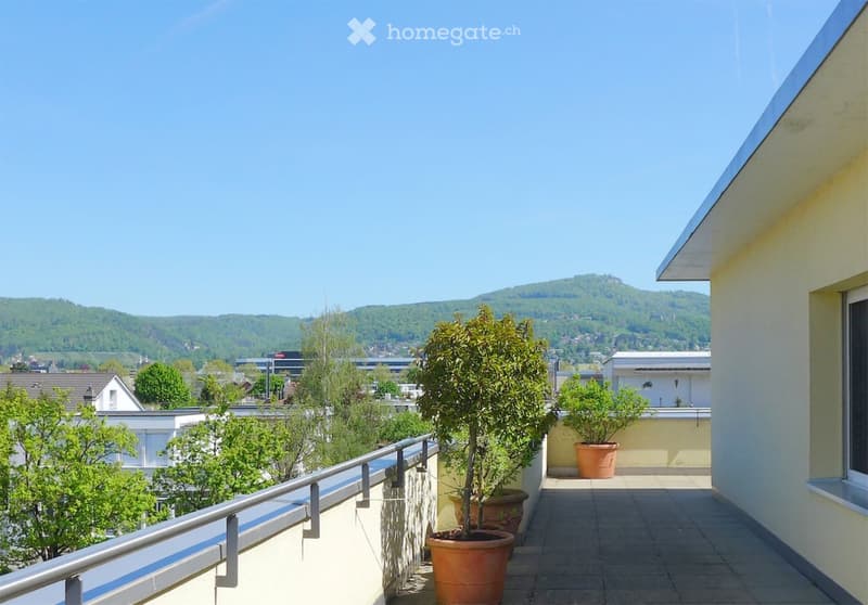 helle Attikawohnung - grosse, dreiseitige Dachterrasse (1)