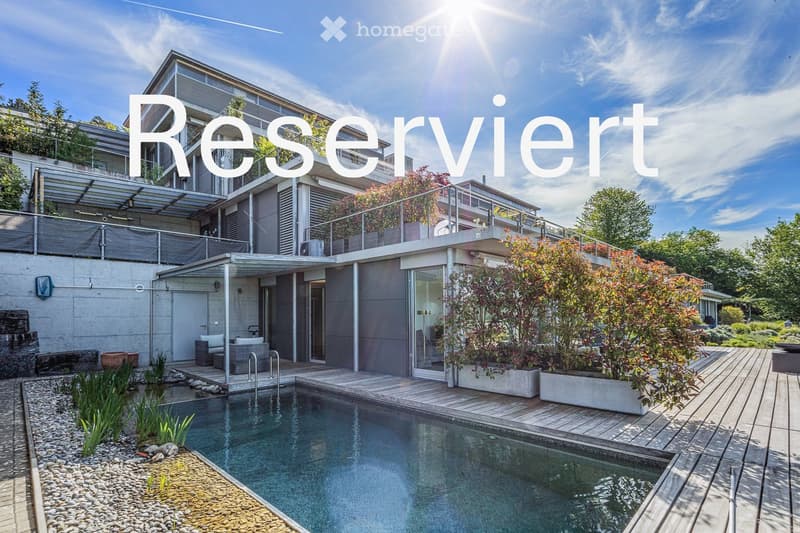 Modern outdoor area with a swimming pool, wooden decking, potted plants, and a contemporary house in the background.