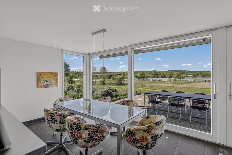 Modern dining area with a glass table, colorful chairs, and a painting on the wall. Large windows provide a view of the outdoor landscape.