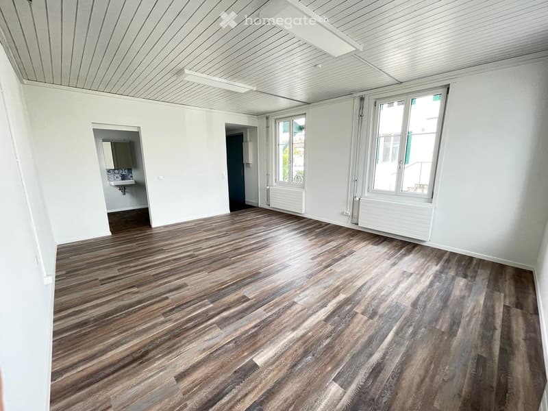 Empty room with white walls, wooden floors, and two windows. There is a small sink area with a mirror and a radiator below one of the windows.