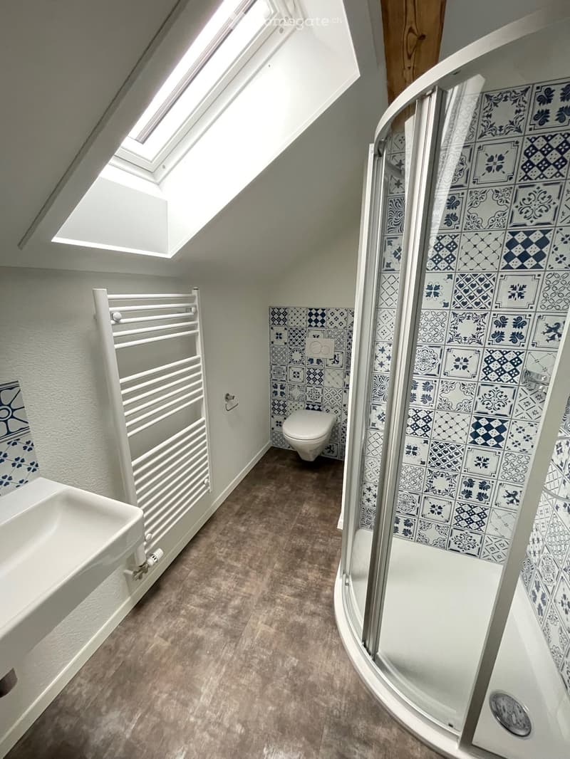 Bathroom with white and blue tiles, a toilet, a shower, a sink, and a towel rack.