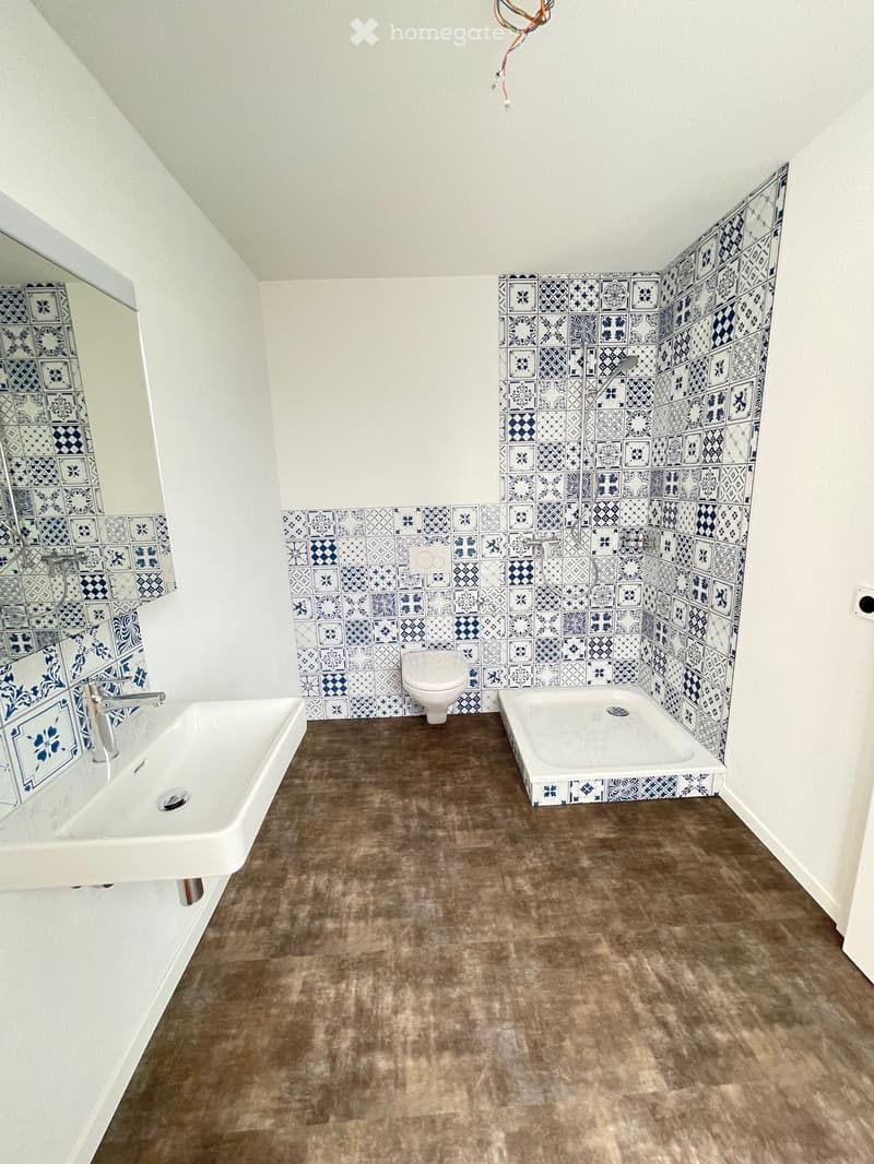 Bathroom with blue and white tiles, white sink, mirror, and toilet. Shower area with tiled walls.
