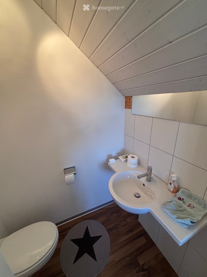 5 ½-Zimmer-Doppeleinfamilienhaus an sonniger, ruhiger Lage (18)