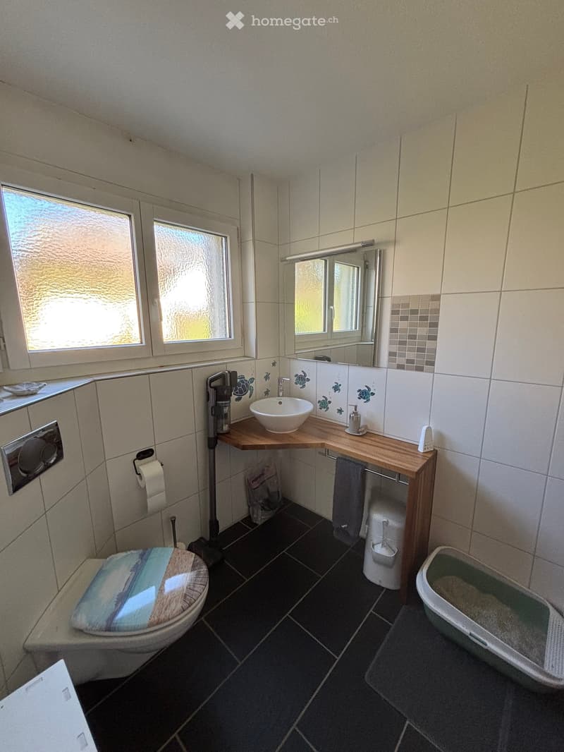 5 ½-Zimmer-Doppeleinfamilienhaus an sonniger, ruhiger Lage (5)