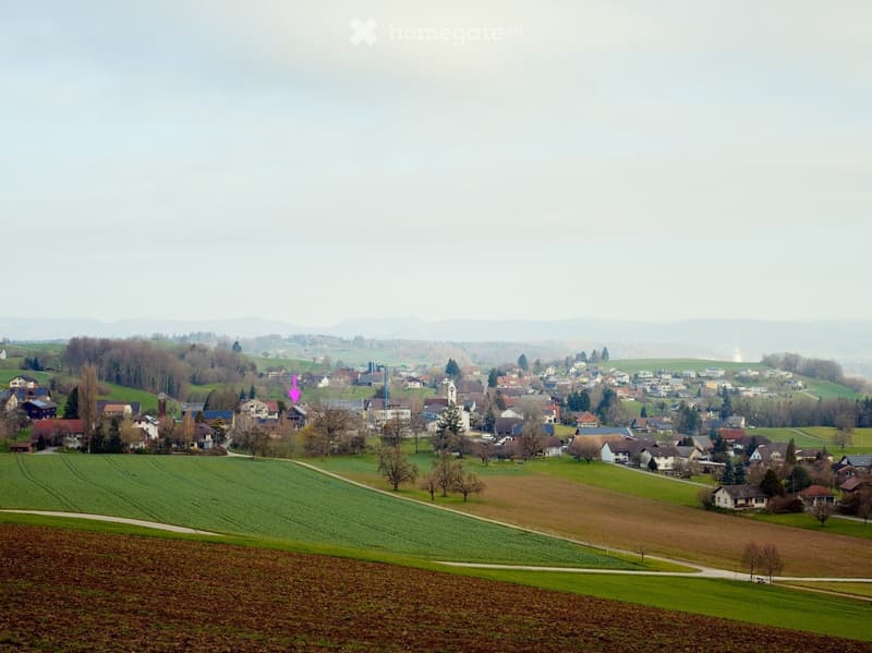 Charmante Haushälfte mit grossem Garten in Leutwil (2)