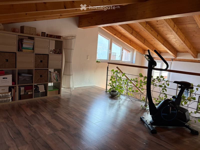 wooden floor, wooden ceiling, exercise bike, potted plants, storage boxes, books, shelves