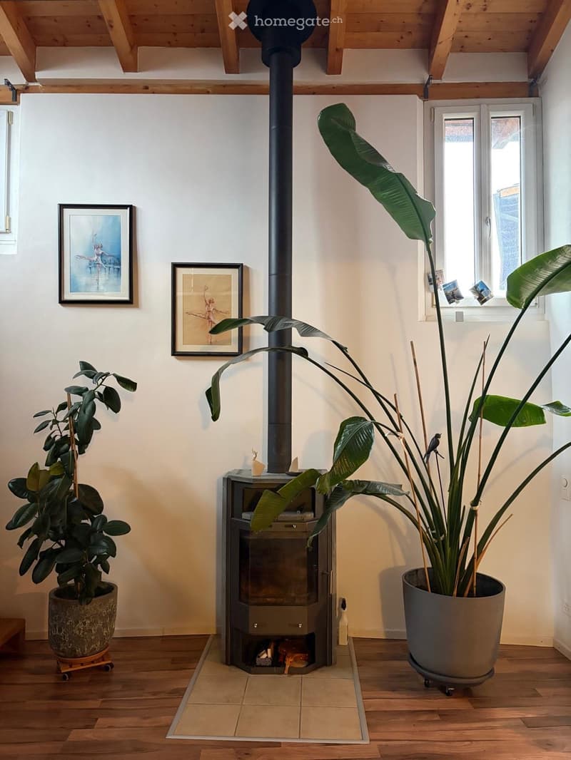 wooden ceiling, white walls, fireplace, two potted plants, two picture frames, tiled floor