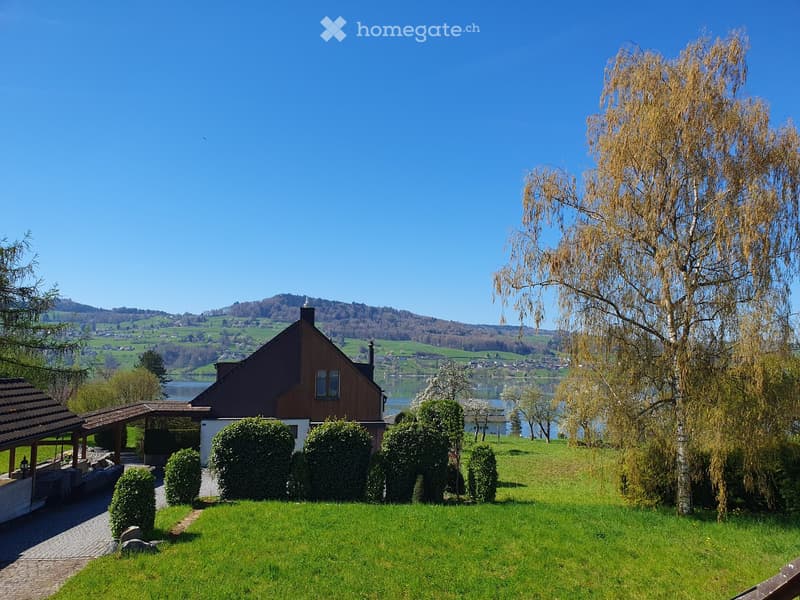A house with a brown exterior and a chimney, surrounded by a well-maintained garden with hedges and a tree, set against a backdrop of a serene lake and distant mountains under a clear blue sky.