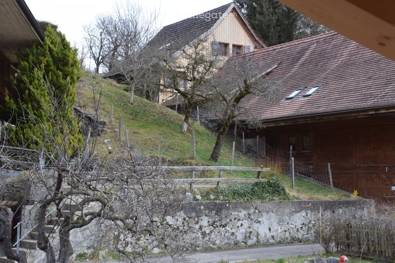 Dach- Maisonettewohnung in Wimmis (28)