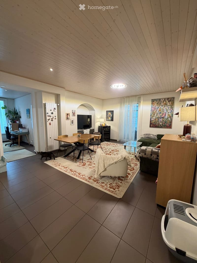 A modern living room with a sofa, a coffee table, a dining table with chairs, a cat, a refrigerator, a lamp, a screen, a cupboard, and picture frames on the wall.
