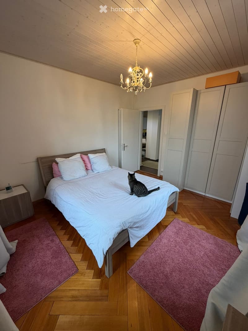 Cozy bedroom with wooden flooring, a neatly made bed with white and pink bedding, a cat sitting on the bed, a chandelier, a nightstand, and a wardrobe.