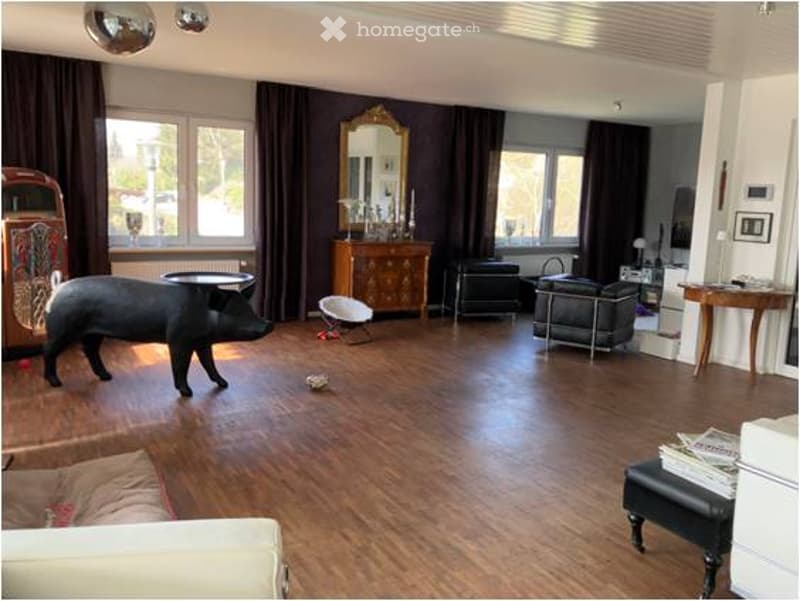 Exklusives 8-Zimmer-Einfamilienhaus mit Fernsicht Nähe Bettingen (in DE) (3)