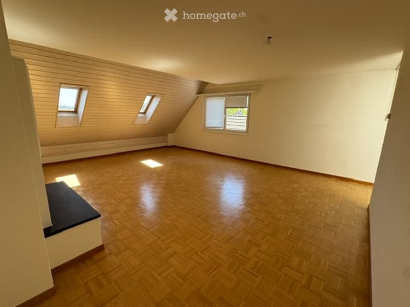 Tolle Wohnung mit traumhafter Terrasse (4)