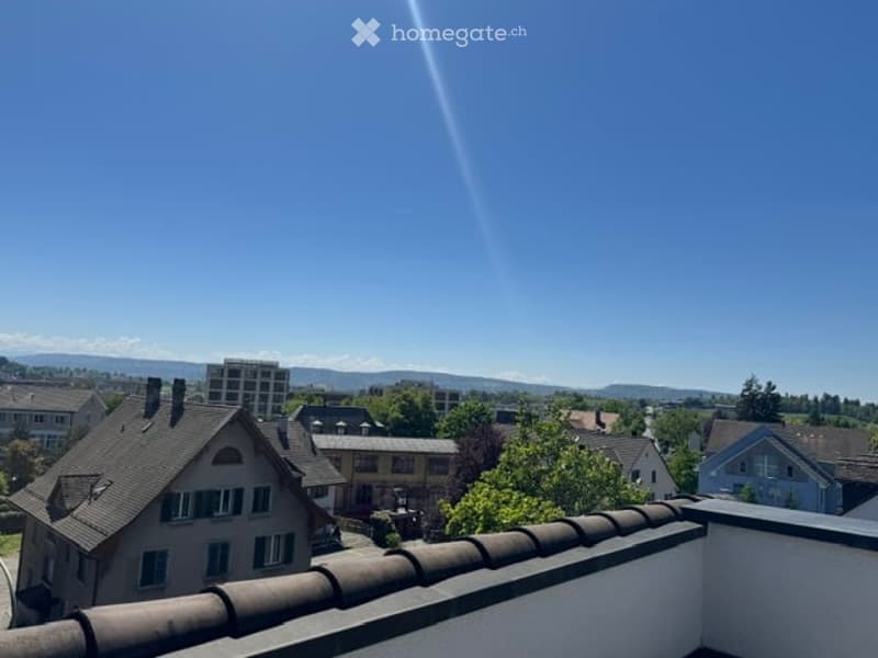 Tolle Wohnung mit traumhafter Terrasse (2)