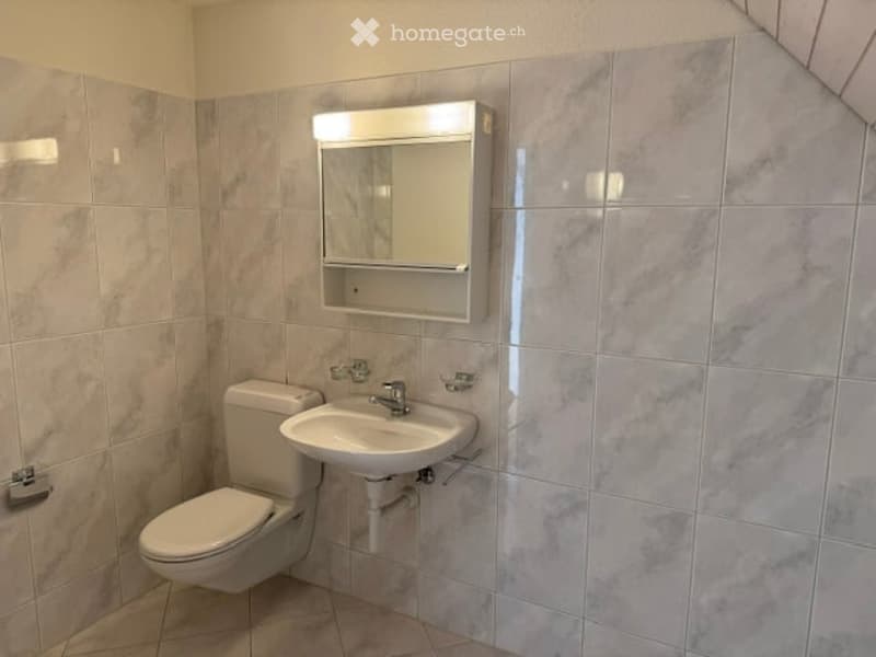 Tolle Wohnung mit traumhafter Terrasse (7)