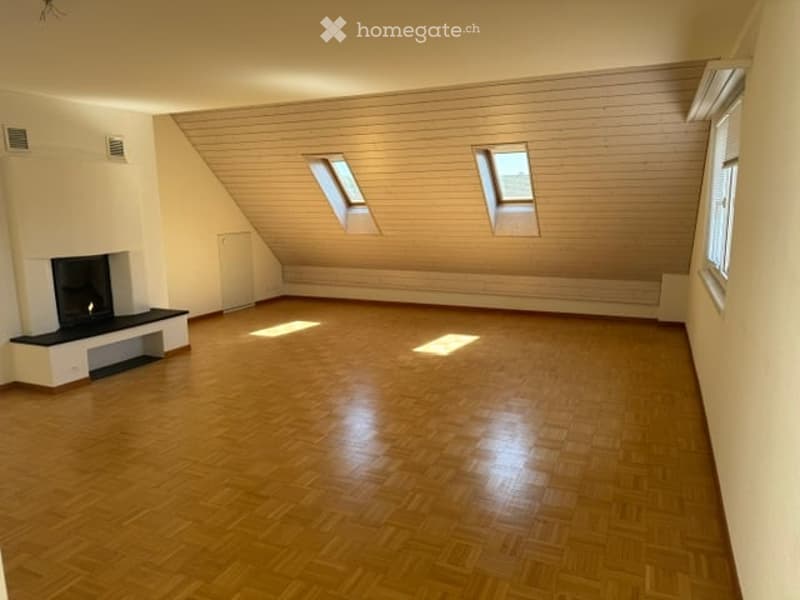 Tolle Wohnung mit traumhafter Terrasse (3)