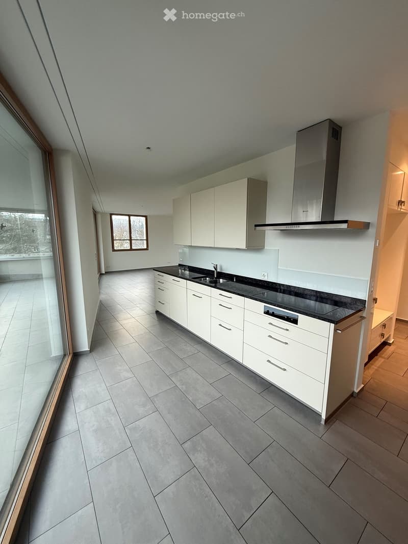 modern kitchen, white cabinets, black countertops, stainless steel range hood, dishwasher, large windows, balcony