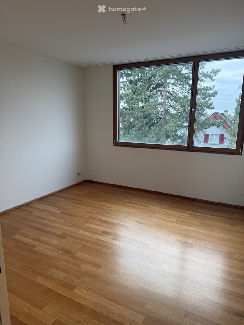 empty room, wooden floor, white walls, large window with view of trees