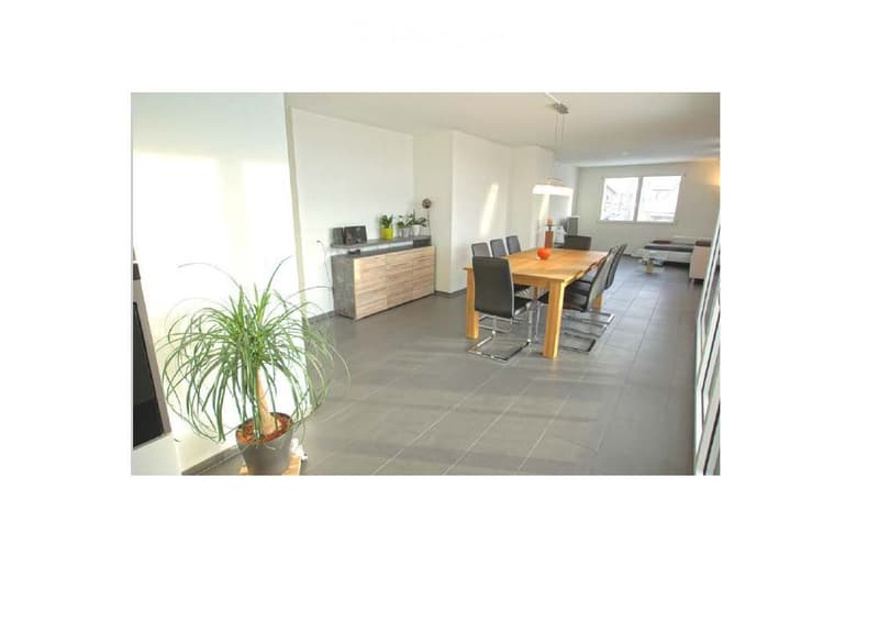 Nie mehr Nebel! Lichtdurchflutete moderne 4.5-Zimmer-Wohnung in Müswangen (3)