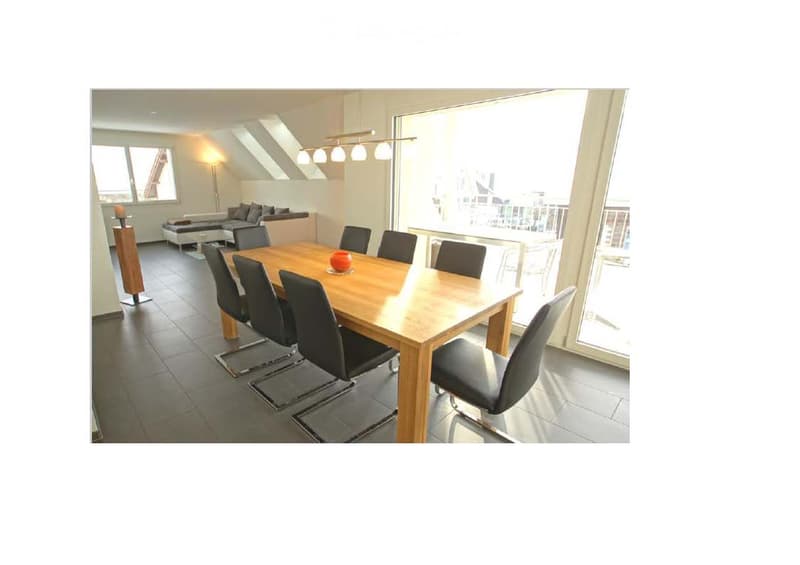Nie mehr Nebel! Lichtdurchflutete moderne 4.5-Zimmer-Wohnung in Müswangen (4)
